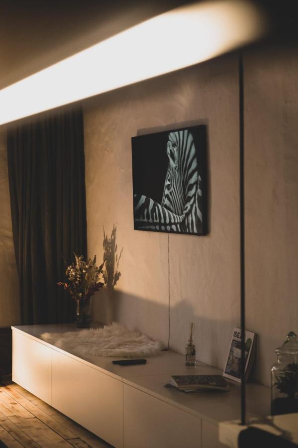 L'Appart' - Ideal For A Stay In The City Center Near The Lake 阿讷西 外观 照片